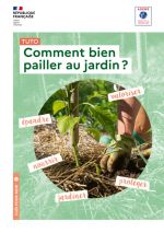 Comment bien pailler son jardin